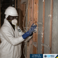 Photos Uploaded - FDP Mold Remediation of Arlington - Photo (24271)