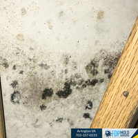 Photos Uploaded - FDP Mold Remediation of Arlington - Photo (24274)