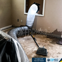 Photos Uploaded - FDP Mold Remediation of Arlington - Photo (24276)