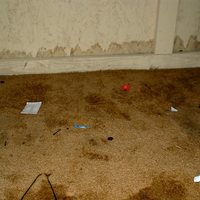 Photos Uploaded - Array of Solutions - Photo (25181)