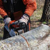 Photos Uploaded - SLC Tree Service Pros - Photo (28401)