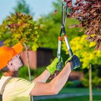 Photos Uploaded - SLC Tree Service Pros - Photo (28398)