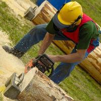 Photos Uploaded - SLC Tree Service Pros - Photo (28399)