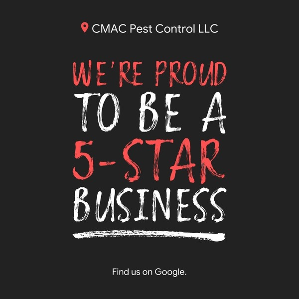 Photos Uploaded - CMAC Pest Control - Photo (28762)