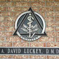 LUCKEY DAVID DR's Gallery - DR A David Luckey DMD PC - Photo (11311)