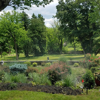 Sabia Landscaping & Tree Service's Gallery - Sabia Landscaping & Tree Service - Photo (13939)