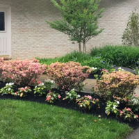 Sabia Landscaping & Tree Service's Gallery - Sabia Landscaping & Tree Service - Photo (13942)