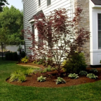 Sabia Landscaping & Tree Service's Gallery - Sabia Landscaping & Tree Service - Photo (13947)