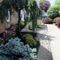 Sabia Landscaping & Tree Service's Gallery - Sabia Landscaping & Tree Service - Photo (13948)