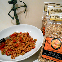 Giannetti Artisans Natural Spelt - Farro della Garfagnana from Tuscany