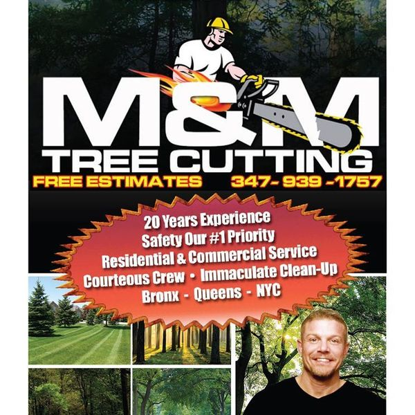 Portfolio - Tree Service & Removal Bronx - Photo (18486)