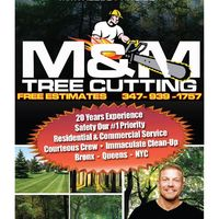 Portfolio - Tree Service & Removal Bronx - Photo (18486)
