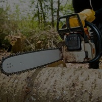 Portfolio - Tree Service & Removal Bronx - Photo (18487)