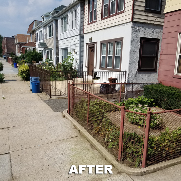 Portfolio - Tree Service & Removal Bronx - Photo (18489)