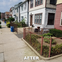 Portfolio - Tree Service & Removal Bronx - Photo (18489)