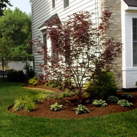 Sabia Landscaping & Tree Service's Gallery - Sabia Landscaping & Tree Service - Photo (23552)