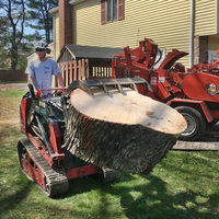 Sabia Landscaping & Tree Service's Gallery - Sabia Landscaping & Tree Service - Photo (23553)