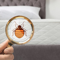 Photos of Our Business - Presidio Pest Management - Photo (26047)