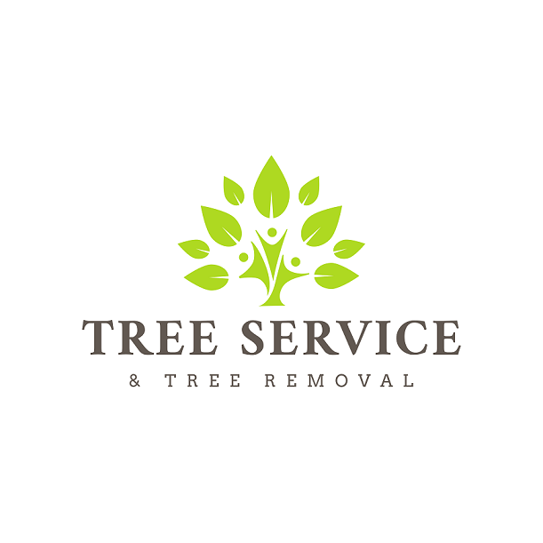 Portfolio - Xpress Tree Service and Removal of Vancouver - Photo (27662)