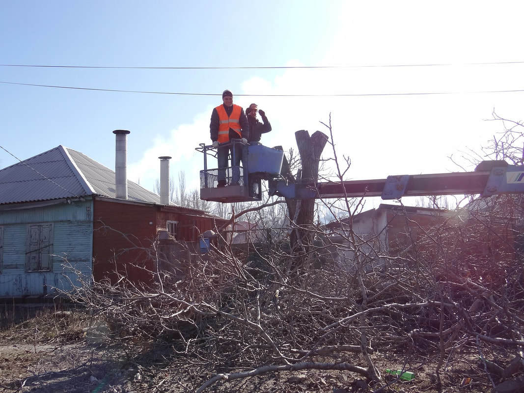 Photos of Our Business - Schaumburg Tree Service - Photo (33122)