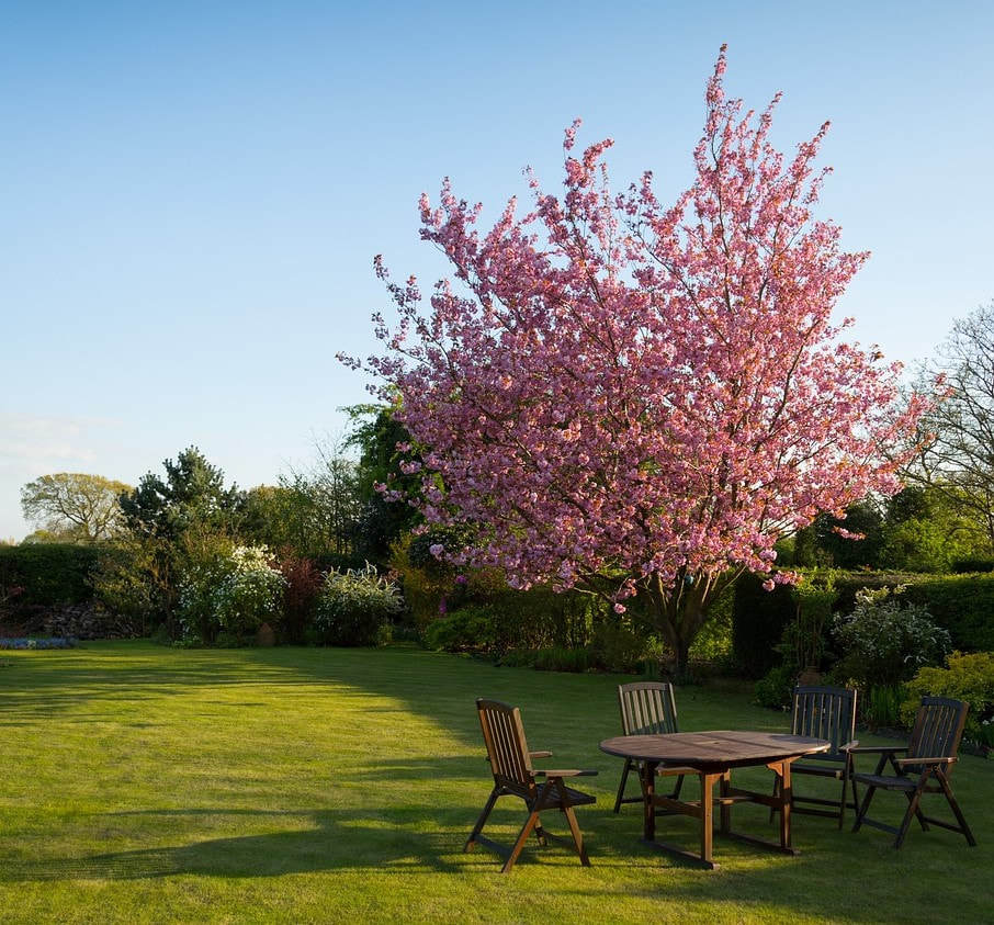 Photos of Our Business - Schaumburg Tree Service - Photo (33123)