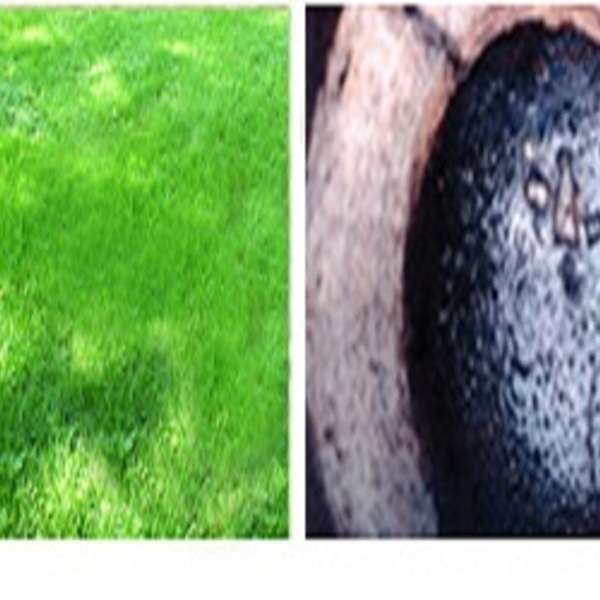 Photos of Our Business - Bio-Safe One, - Photo (35230)