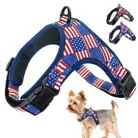 Best Leather Dog Collars