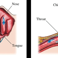 Our Services - Head Pain Institute - Photo (36827)