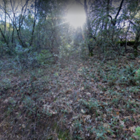 12.51 acres W Clinton Road