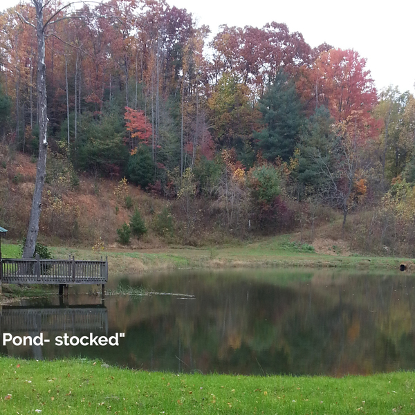 Photos of Our Business - Steve Cook - Land Developer - Photo (42077)