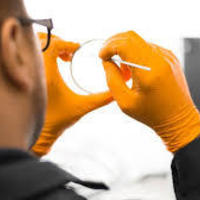 optical lens wholesale