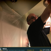 Photos of Our Business - O2 Mold Testing - Photo (42724)