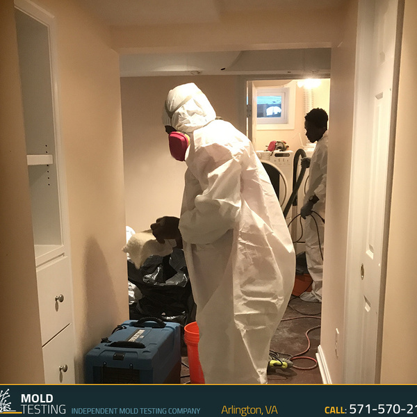 Photos of Our Business - O2 Mold Testing - Photo (42725)