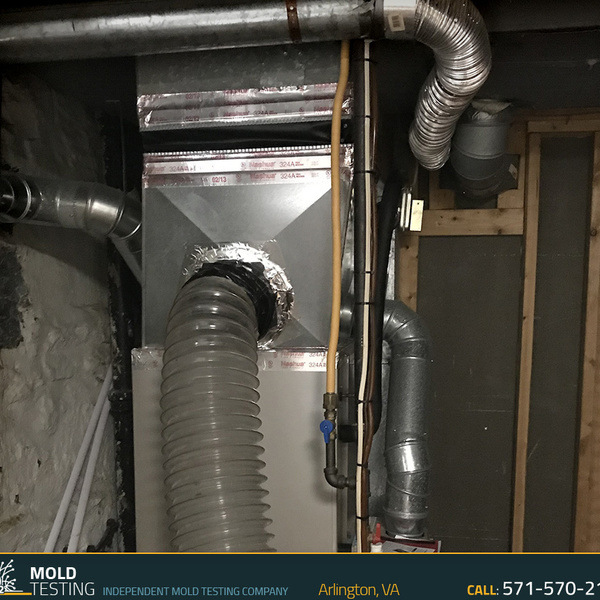Photos of Our Business - O2 Mold Testing - Photo (42726)