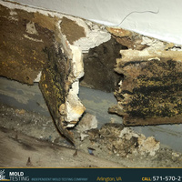Photos of Our Business - O2 Mold Testing - Photo (42727)