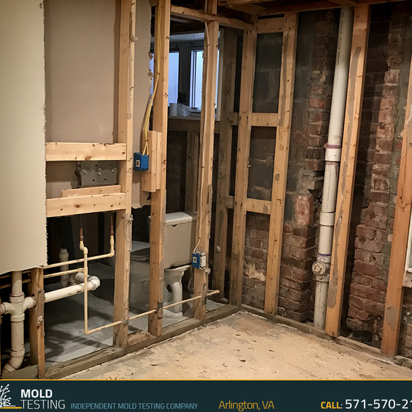 Photos of Our Business - O2 Mold Testing - Photo (42728)