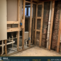 Photos of Our Business - O2 Mold Testing - Photo (42728)