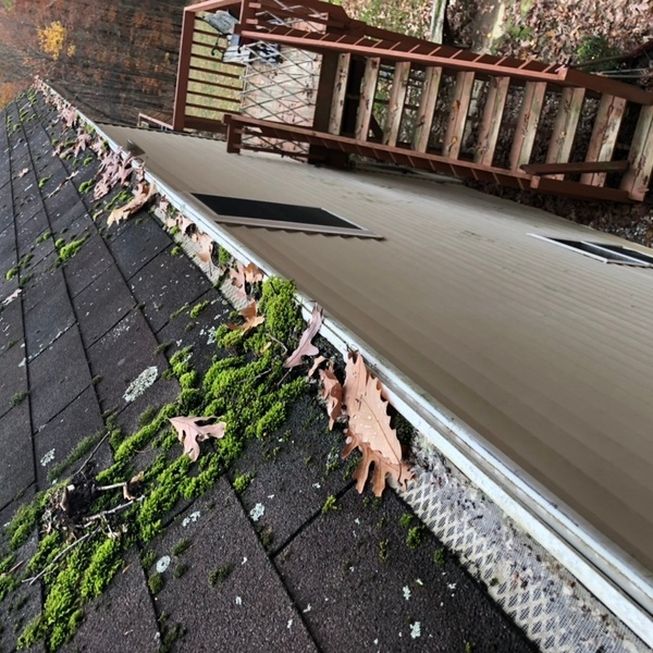 Photos of Our Business - Clean Pro Gutter Cleaning Troy - Photo (45433)