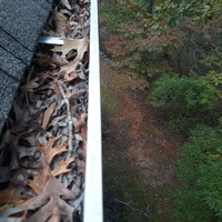 Photos of Our Business - Clean Pro Gutter Cleaning Troy - Photo (45434)
