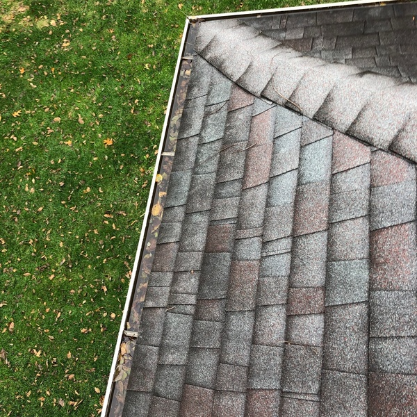 Photos of Our Business - Clean Pro Gutter Cleaning Troy - Photo (45435)