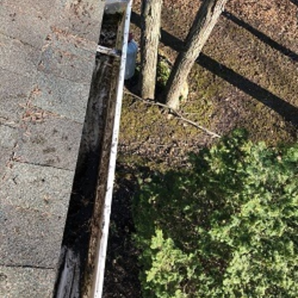 Clean Pro Gutter Cleaning Queens - Clean Pro Gutter Cleaning Queens - Photo (45466)