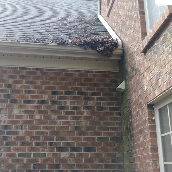 Photos of Our Business - Clean Pro Gutter Cleaning Gladstone - Photo (45491)