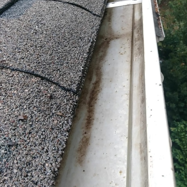 Photos of Our Business - Clean Pro Gutter Cleaning Gladstone - Photo (45492)