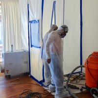 mold removal 
