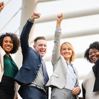 Our web development team