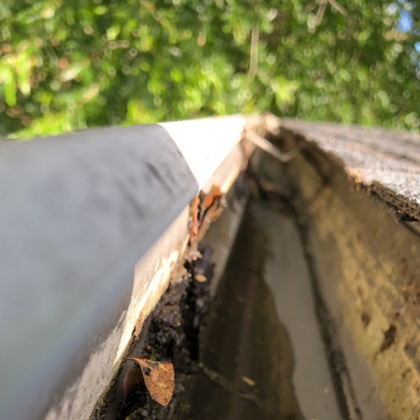 Portfolio - Guru Gutter Cleaning Carrollton - Photo (52513)