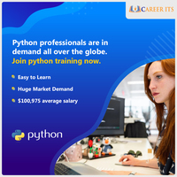  python online training 
