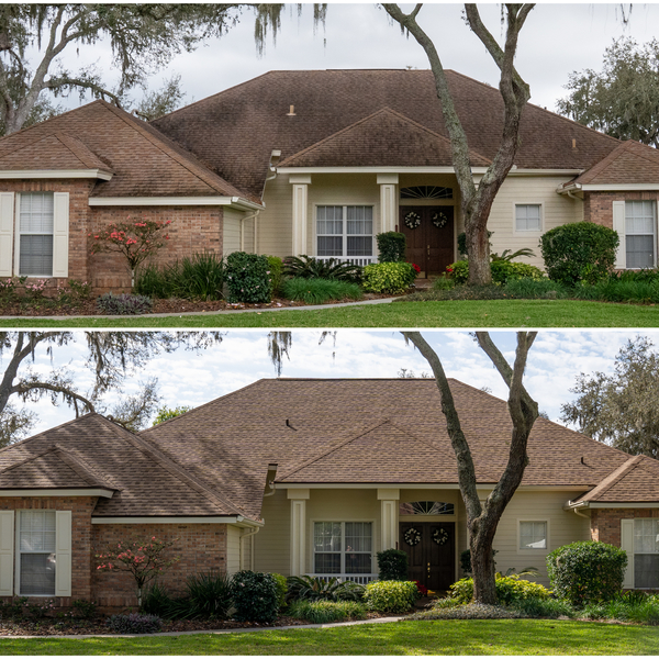 Photos of Our Business - Greentek Property Solutions - Photo (56633)
