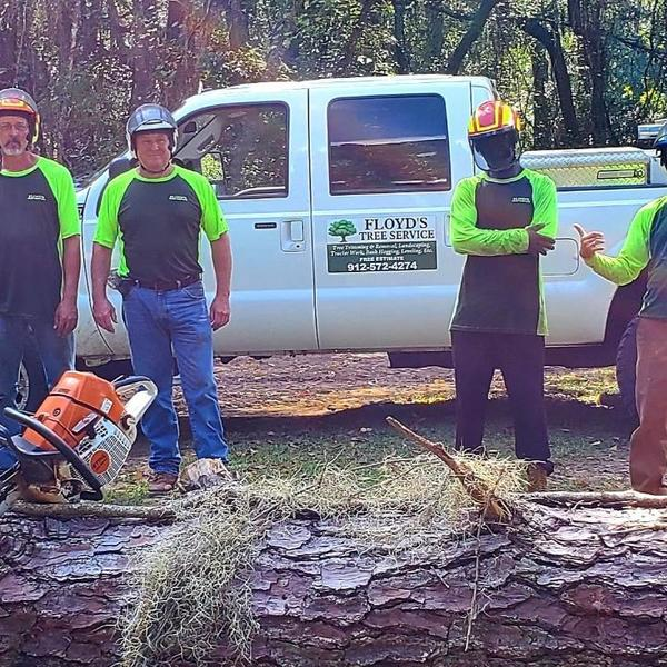 Photos of Our Business - Floyd's Tree Service - Photo (57095)