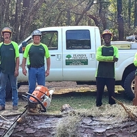 Photos of Our Business - Floyd's Tree Service - Photo (57096)